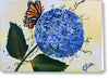 Butterfly kisses Hydrangea  - Greeting Card