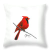 Cardinal - Throw Pillow