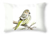 Pine Siskin Finch - Throw Pillow