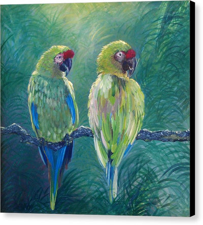 Love Birds - Canvas Print